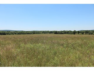 Property photo 16 - LAND AUCTION - 860+/- ACRES OFFERED IN 7 TRACTS IN PITTSBURG COUNTY, OKLAHOMA