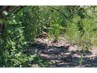 Property photo 18 - LAND AUCTION - 860+/- ACRES OFFERED IN 7 TRACTS IN PITTSBURG COUNTY, OKLAHOMA