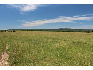 Property photo 12 - LAND AUCTION - 860+/- ACRES OFFERED IN 7 TRACTS IN PITTSBURG COUNTY, OKLAHOMA