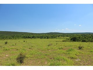 Property photo 21 - LAND AUCTION - 860+/- ACRES OFFERED IN 7 TRACTS IN PITTSBURG COUNTY, OKLAHOMA