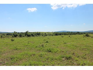 Property photo 23 - LAND AUCTION - 860+/- ACRES OFFERED IN 7 TRACTS IN PITTSBURG COUNTY, OKLAHOMA