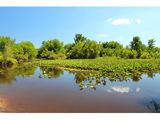 Property photo 24 - LAND AUCTION - 860+/- ACRES OFFERED IN 7 TRACTS IN PITTSBURG COUNTY, OKLAHOMA