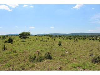 Property photo 28 - LAND AUCTION - 860+/- ACRES OFFERED IN 7 TRACTS IN PITTSBURG COUNTY, OKLAHOMA