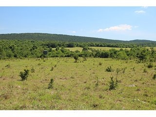 Property photo 29 - LAND AUCTION - 860+/- ACRES OFFERED IN 7 TRACTS IN PITTSBURG COUNTY, OKLAHOMA