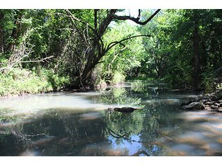 Property photo 30 - LAND AUCTION - 860+/- ACRES OFFERED IN 7 TRACTS IN PITTSBURG COUNTY, OKLAHOMA