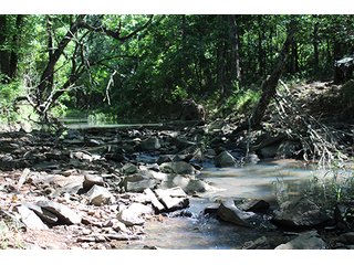 Property photo 31 - LAND AUCTION - 860+/- ACRES OFFERED IN 7 TRACTS IN PITTSBURG COUNTY, OKLAHOMA