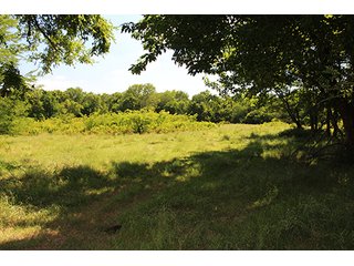 Property photo 32 - LAND AUCTION - 860+/- ACRES OFFERED IN 7 TRACTS IN PITTSBURG COUNTY, OKLAHOMA
