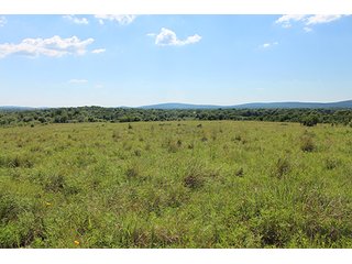 Property photo 38 - LAND AUCTION - 860+/- ACRES OFFERED IN 7 TRACTS IN PITTSBURG COUNTY, OKLAHOMA