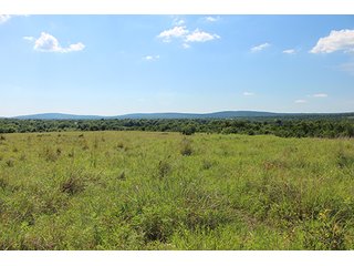 Property photo 39 - LAND AUCTION - 860+/- ACRES OFFERED IN 7 TRACTS IN PITTSBURG COUNTY, OKLAHOMA