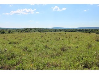 Property photo 40 - LAND AUCTION - 860+/- ACRES OFFERED IN 7 TRACTS IN PITTSBURG COUNTY, OKLAHOMA