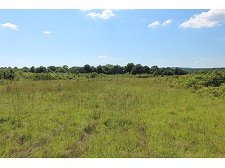 Property photo 37 - LAND AUCTION - 860+/- ACRES OFFERED IN 7 TRACTS IN PITTSBURG COUNTY, OKLAHOMA