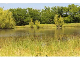 Property photo 43 - LAND AUCTION - 860+/- ACRES OFFERED IN 7 TRACTS IN PITTSBURG COUNTY, OKLAHOMA
