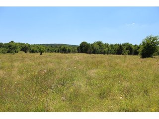 Property photo 46 - LAND AUCTION - 860+/- ACRES OFFERED IN 7 TRACTS IN PITTSBURG COUNTY, OKLAHOMA