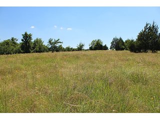 Property photo 47 - LAND AUCTION - 860+/- ACRES OFFERED IN 7 TRACTS IN PITTSBURG COUNTY, OKLAHOMA