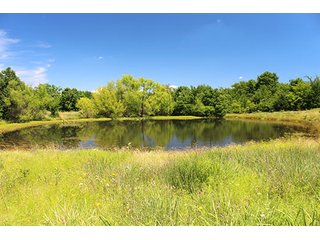 Property photo 48 - LAND AUCTION - 860+/- ACRES OFFERED IN 7 TRACTS IN PITTSBURG COUNTY, OKLAHOMA