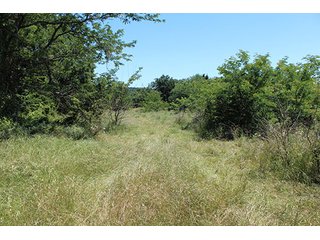 Property photo 51 - LAND AUCTION - 860+/- ACRES OFFERED IN 7 TRACTS IN PITTSBURG COUNTY, OKLAHOMA