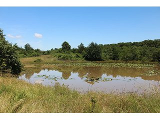 Property photo 53 - LAND AUCTION - 860+/- ACRES OFFERED IN 7 TRACTS IN PITTSBURG COUNTY, OKLAHOMA