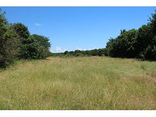 Property photo 54 - LAND AUCTION - 860+/- ACRES OFFERED IN 7 TRACTS IN PITTSBURG COUNTY, OKLAHOMA