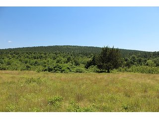 Property photo 50 - LAND AUCTION - 860+/- ACRES OFFERED IN 7 TRACTS IN PITTSBURG COUNTY, OKLAHOMA