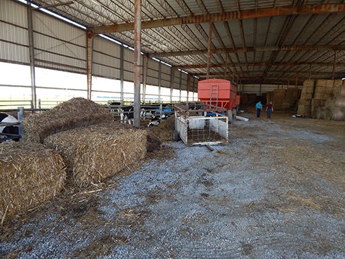 Property photo 58 - *** Accepted Offer. Auction Cancelled *** - COMPLETE DAIRY DISPERSAL AUCTION - 934+/- ACRES IN 11 TRACTS IN PAULDING & VAN WERT COUNTIES, OHIO