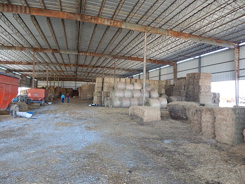 Property photo 61 - *** Accepted Offer. Auction Cancelled *** - COMPLETE DAIRY DISPERSAL AUCTION - 934+/- ACRES IN 11 TRACTS IN PAULDING & VAN WERT COUNTIES, OHIO