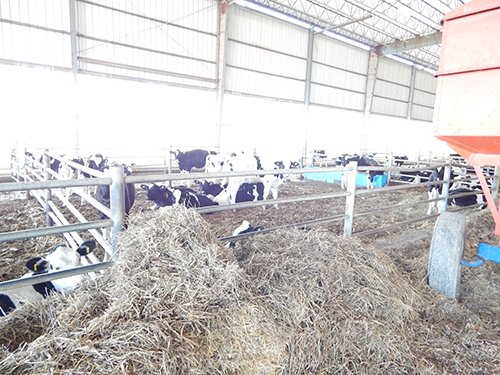 Property photo 64 - *** Accepted Offer. Auction Cancelled *** - COMPLETE DAIRY DISPERSAL AUCTION - 934+/- ACRES IN 11 TRACTS IN PAULDING & VAN WERT COUNTIES, OHIO