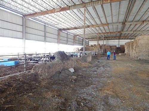 Property photo 65 - *** Accepted Offer. Auction Cancelled *** - COMPLETE DAIRY DISPERSAL AUCTION - 934+/- ACRES IN 11 TRACTS IN PAULDING & VAN WERT COUNTIES, OHIO