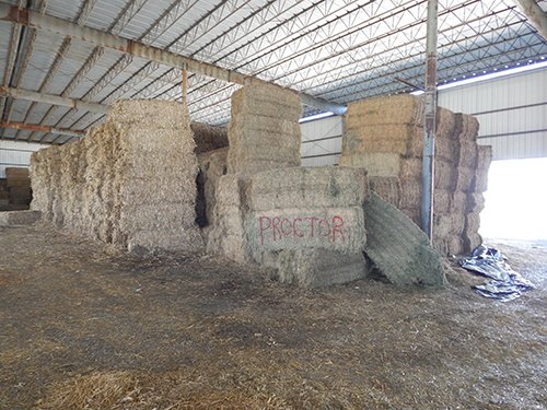 Property photo 60 - *** Accepted Offer. Auction Cancelled *** - COMPLETE DAIRY DISPERSAL AUCTION - 934+/- ACRES IN 11 TRACTS IN PAULDING & VAN WERT COUNTIES, OHIO