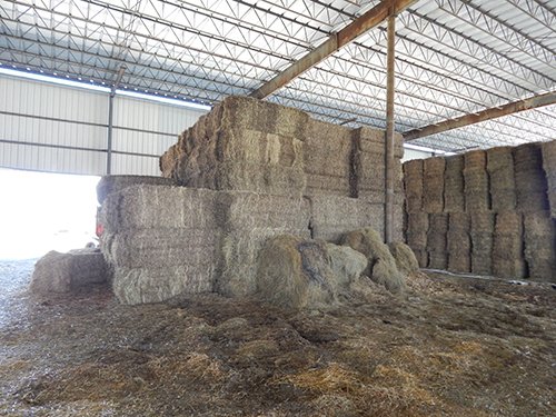 Property photo 63 - *** Accepted Offer. Auction Cancelled *** - COMPLETE DAIRY DISPERSAL AUCTION - 934+/- ACRES IN 11 TRACTS IN PAULDING & VAN WERT COUNTIES, OHIO