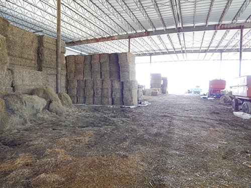Property photo 59 - *** Accepted Offer. Auction Cancelled *** - COMPLETE DAIRY DISPERSAL AUCTION - 934+/- ACRES IN 11 TRACTS IN PAULDING & VAN WERT COUNTIES, OHIO