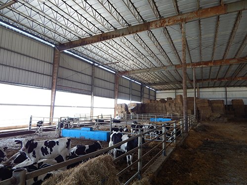 Property photo 143 - *** Accepted Offer. Auction Cancelled *** - COMPLETE DAIRY DISPERSAL AUCTION - 934+/- ACRES IN 11 TRACTS IN PAULDING & VAN WERT COUNTIES, OHIO