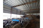 Property photo 143 - *** Accepted Offer. Auction Cancelled *** - COMPLETE DAIRY DISPERSAL AUCTION - 934+/- ACRES IN 11 TRACTS IN PAULDING & VAN WERT COUNTIES, OHIO