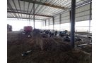 Property photo 171 - *** Accepted Offer. Auction Cancelled *** - COMPLETE DAIRY DISPERSAL AUCTION - 934+/- ACRES IN 11 TRACTS IN PAULDING & VAN WERT COUNTIES, OHIO