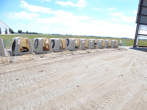 Property photo 182 - *** Accepted Offer. Auction Cancelled *** - COMPLETE DAIRY DISPERSAL AUCTION - 934+/- ACRES IN 11 TRACTS IN PAULDING & VAN WERT COUNTIES, OHIO