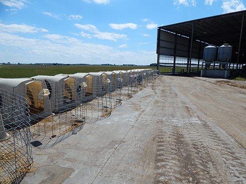 Property photo 146 - *** Accepted Offer. Auction Cancelled *** - COMPLETE DAIRY DISPERSAL AUCTION - 934+/- ACRES IN 11 TRACTS IN PAULDING & VAN WERT COUNTIES, OHIO