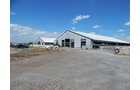Property photo 12 - *** Accepted Offer. Auction Cancelled *** - COMPLETE DAIRY DISPERSAL AUCTION - 934+/- ACRES IN 11 TRACTS IN PAULDING & VAN WERT COUNTIES, OHIO