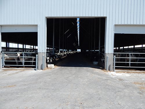 Property photo 18 - *** Accepted Offer. Auction Cancelled *** - COMPLETE DAIRY DISPERSAL AUCTION - 934+/- ACRES IN 11 TRACTS IN PAULDING & VAN WERT COUNTIES, OHIO