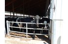 Property photo 158 - *** Accepted Offer. Auction Cancelled *** - COMPLETE DAIRY DISPERSAL AUCTION - 934+/- ACRES IN 11 TRACTS IN PAULDING & VAN WERT COUNTIES, OHIO