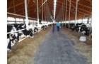 Property photo 162 - *** Accepted Offer. Auction Cancelled *** - COMPLETE DAIRY DISPERSAL AUCTION - 934+/- ACRES IN 11 TRACTS IN PAULDING & VAN WERT COUNTIES, OHIO