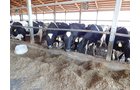 Property photo 144 - *** Accepted Offer. Auction Cancelled *** - COMPLETE DAIRY DISPERSAL AUCTION - 934+/- ACRES IN 11 TRACTS IN PAULDING & VAN WERT COUNTIES, OHIO
