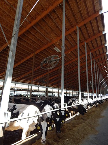 Property photo 187 - *** Accepted Offer. Auction Cancelled *** - COMPLETE DAIRY DISPERSAL AUCTION - 934+/- ACRES IN 11 TRACTS IN PAULDING & VAN WERT COUNTIES, OHIO