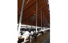 Property photo 187 - *** Accepted Offer. Auction Cancelled *** - COMPLETE DAIRY DISPERSAL AUCTION - 934+/- ACRES IN 11 TRACTS IN PAULDING & VAN WERT COUNTIES, OHIO