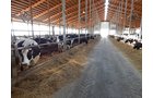 Property photo 156 - *** Accepted Offer. Auction Cancelled *** - COMPLETE DAIRY DISPERSAL AUCTION - 934+/- ACRES IN 11 TRACTS IN PAULDING & VAN WERT COUNTIES, OHIO