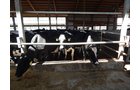 Property photo 165 - *** Accepted Offer. Auction Cancelled *** - COMPLETE DAIRY DISPERSAL AUCTION - 934+/- ACRES IN 11 TRACTS IN PAULDING & VAN WERT COUNTIES, OHIO
