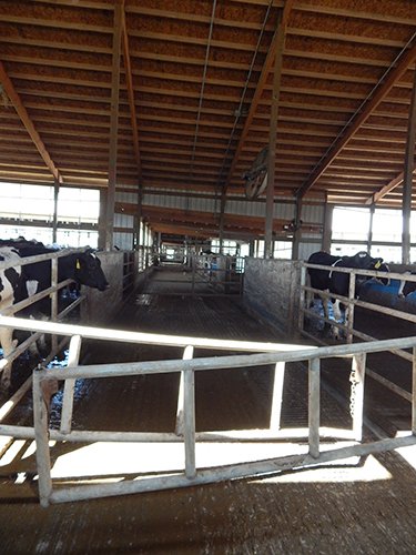 Property photo 190 - *** Accepted Offer. Auction Cancelled *** - COMPLETE DAIRY DISPERSAL AUCTION - 934+/- ACRES IN 11 TRACTS IN PAULDING & VAN WERT COUNTIES, OHIO