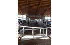 Property photo 190 - *** Accepted Offer. Auction Cancelled *** - COMPLETE DAIRY DISPERSAL AUCTION - 934+/- ACRES IN 11 TRACTS IN PAULDING & VAN WERT COUNTIES, OHIO