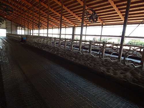 Property photo 178 - *** Accepted Offer. Auction Cancelled *** - COMPLETE DAIRY DISPERSAL AUCTION - 934+/- ACRES IN 11 TRACTS IN PAULDING & VAN WERT COUNTIES, OHIO