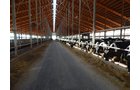 Property photo 167 - *** Accepted Offer. Auction Cancelled *** - COMPLETE DAIRY DISPERSAL AUCTION - 934+/- ACRES IN 11 TRACTS IN PAULDING & VAN WERT COUNTIES, OHIO