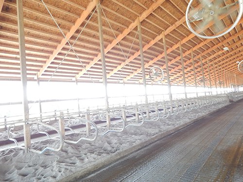 Property photo 31 - *** Accepted Offer. Auction Cancelled *** - COMPLETE DAIRY DISPERSAL AUCTION - 934+/- ACRES IN 11 TRACTS IN PAULDING & VAN WERT COUNTIES, OHIO