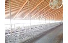 Property photo 31 - *** Accepted Offer. Auction Cancelled *** - COMPLETE DAIRY DISPERSAL AUCTION - 934+/- ACRES IN 11 TRACTS IN PAULDING & VAN WERT COUNTIES, OHIO